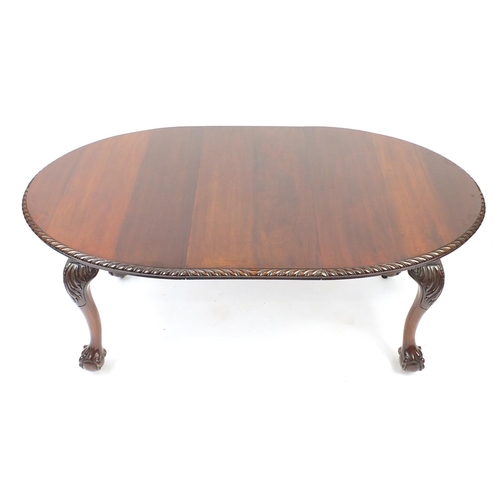 2011 - Chippendale style mahogany D end wind out dining table with ball and claw feet, 74cm H x 174cm W (ex... 