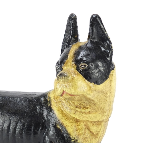 283 - Cast iron model of a french bulldog, 20cm high