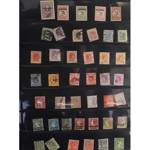 156 - 19th century and later World stamps arranged in an album including Hong Kong, China, United States o... 