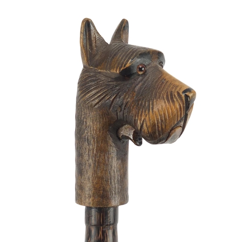 116 - Bamboo walking stick with black forest dogs head design pommel, having moveable mouth, 91cm in lengt... 