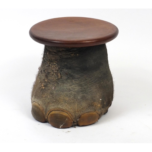 103 - Taxidermy elephant foot occasional table, 34cm high x 33cm in diameter