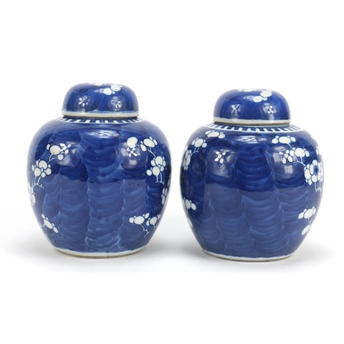 316 - Pair of Chinese blue and white porcelain ginger jars with covers, each hand painted with prunus flow... 