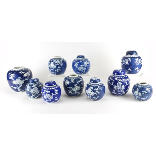 361 - Ten Chinese blue and white ginger jars, hand painted with prunus flowers, six with lids each hand pa... 