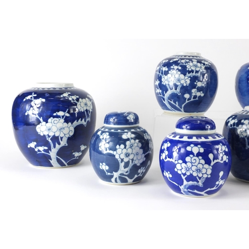 361 - Ten Chinese blue and white ginger jars, hand painted with prunus flowers, six with lids each hand pa... 