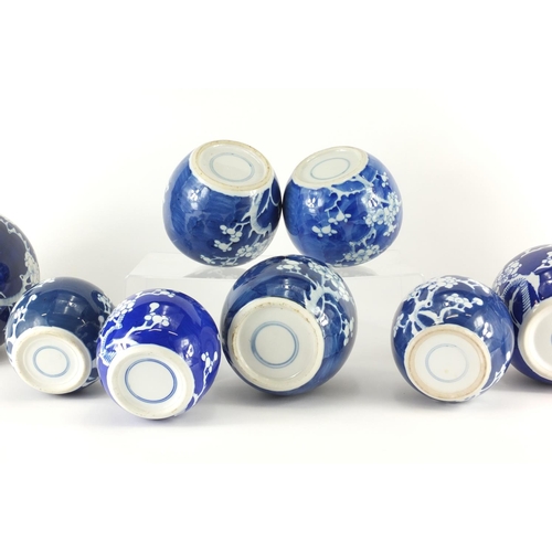 361 - Ten Chinese blue and white ginger jars, hand painted with prunus flowers, six with lids each hand pa... 