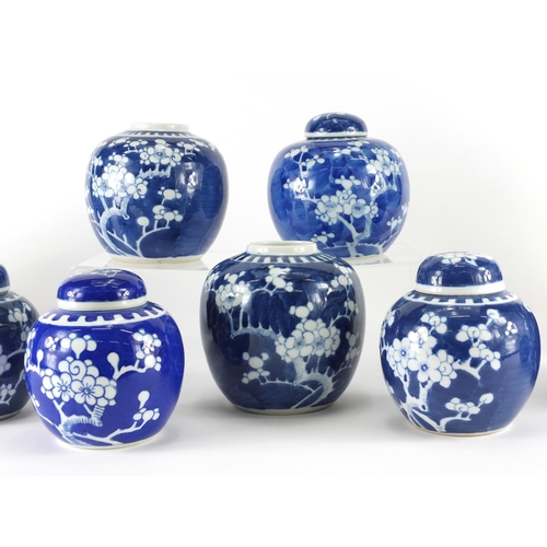 361 - Ten Chinese blue and white ginger jars, hand painted with prunus flowers, six with lids each hand pa... 