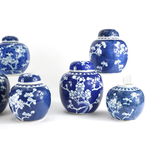 361 - Ten Chinese blue and white ginger jars, hand painted with prunus flowers, six with lids each hand pa... 