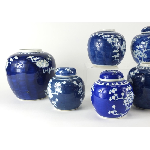 361 - Ten Chinese blue and white ginger jars, hand painted with prunus flowers, six with lids each hand pa... 