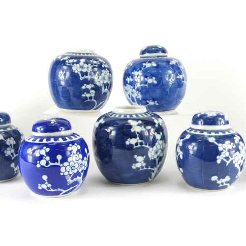 361 - Ten Chinese blue and white ginger jars, hand painted with prunus flowers, six with lids each hand pa... 