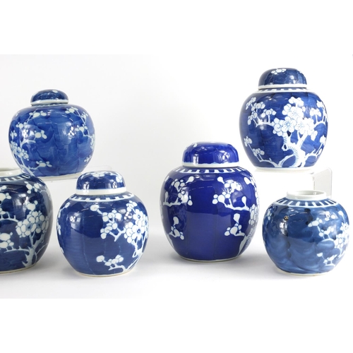 361 - Ten Chinese blue and white ginger jars, hand painted with prunus flowers, six with lids each hand pa... 