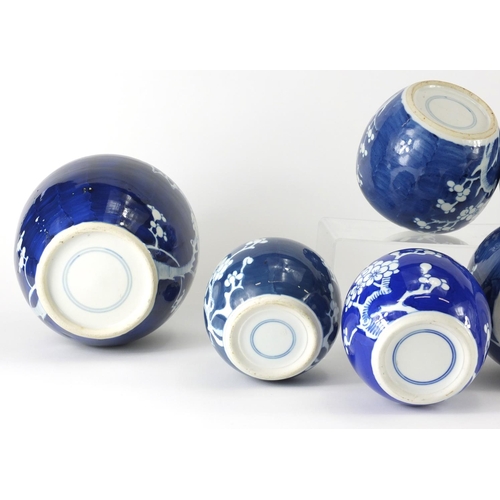 361 - Ten Chinese blue and white ginger jars, hand painted with prunus flowers, six with lids each hand pa... 