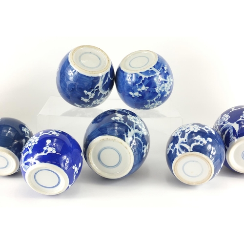 361 - Ten Chinese blue and white ginger jars, hand painted with prunus flowers, six with lids each hand pa... 