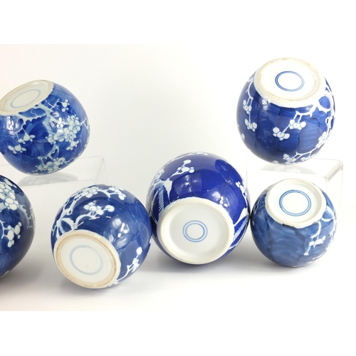 361 - Ten Chinese blue and white ginger jars, hand painted with prunus flowers, six with lids each hand pa... 