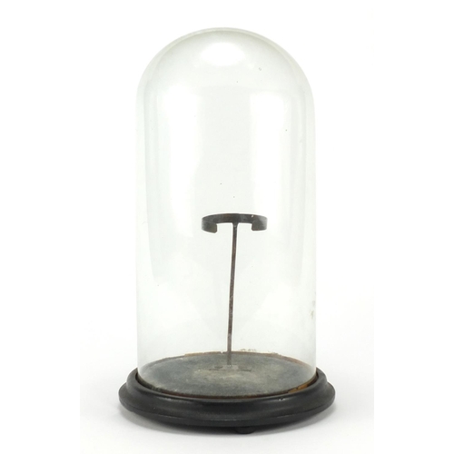 220 - Victorian glass dome with ebonised wood base, 37cm high