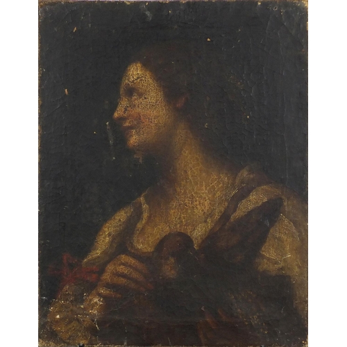 893 - Top half portrait of a female, antique old master oil on canvas, unframed, 58cm x 45.5cm