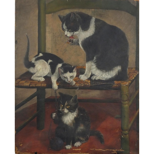 878 - Kittens at Play, Victorian oil onto canvas, unframed, 55.5cm x 45.5cm