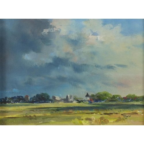 894 - Norman Dinnage - Landscape with buildings in the distance, oil onto board, mounted and framed, 19cm ... 