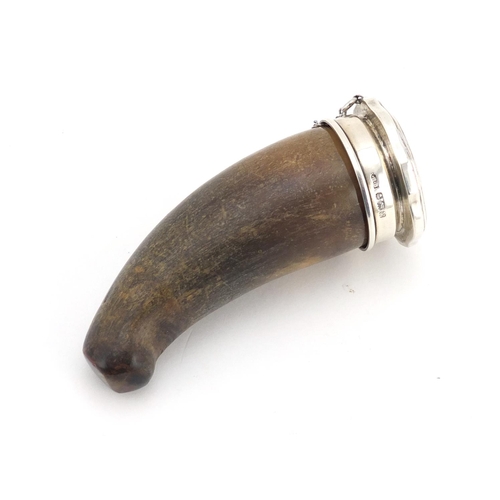 610 - Antique horn snuff mule with silver lid and collar by Edward Souter Barnsley, Birmingham 1920, 9.5cm... 