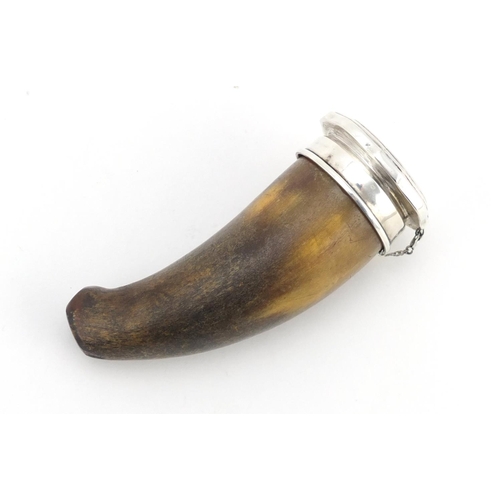 610 - Antique horn snuff mule with silver lid and collar by Edward Souter Barnsley, Birmingham 1920, 9.5cm... 