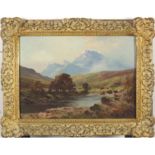 890 - Douglas Falconer - Glen Affric, West Scotland, oil on board, mounted in ornate frame, 33cm x 23cm