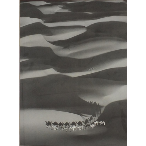 137 - Yann Arthus Bertrand - The Amber Dunes, black and white photograph, mounted and framed, 62.5cm x 45.... 