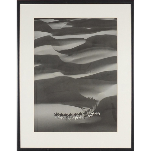 137 - Yann Arthus Bertrand - The Amber Dunes, black and white photograph, mounted and framed, 62.5cm x 45.... 