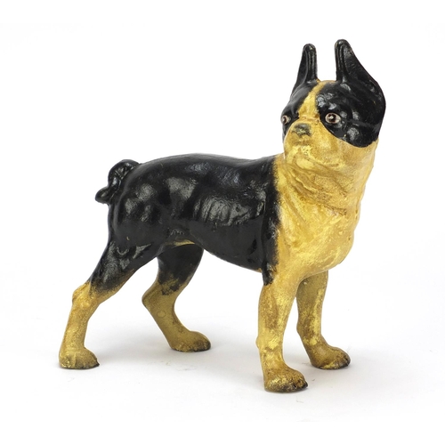 212 - Cast iron model of a french bulldog, 25cm high