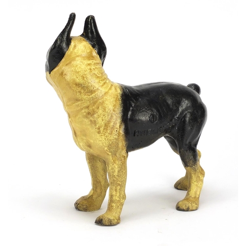 212 - Cast iron model of a french bulldog, 25cm high