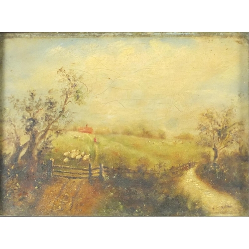 165 - Shepherd with sheep in a field, oil on canvas, framed, 17cm x 12.5cm