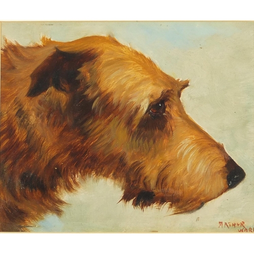 166 - Dog's head, oil, bearing signature Arthur Ward, mounted and framed, 25cm x 21cm