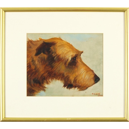 166 - Dog's head, oil, bearing signature Arthur Ward, mounted and framed, 25cm x 21cm