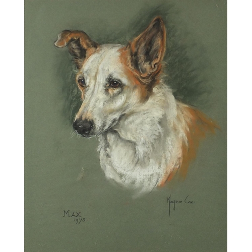 44 - Marjorie Cox - Portrait of a dog, Max, signed mixed media, framed, 45cm x 37cm