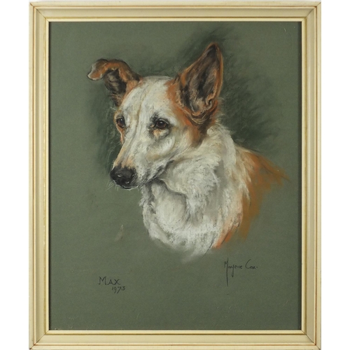 44 - Marjorie Cox - Portrait of a dog, Max, signed mixed media, framed, 45cm x 37cm
