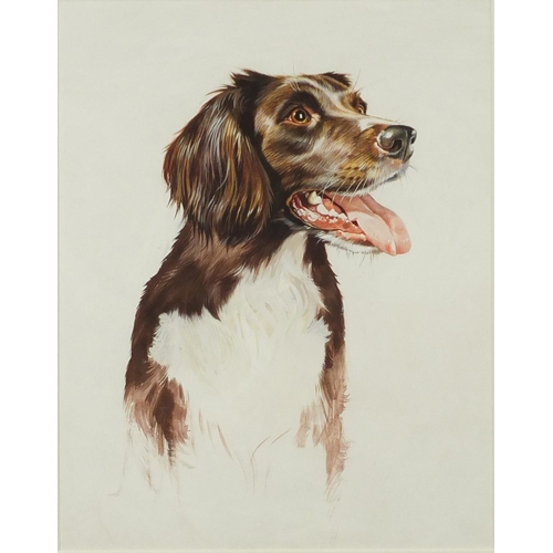 169 - Bryan Bysouth - Portrait of a dog, acrylic, mounted and framed, 30cm x 24cm