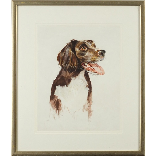 169 - Bryan Bysouth - Portrait of a dog, acrylic, mounted and framed, 30cm x 24cm