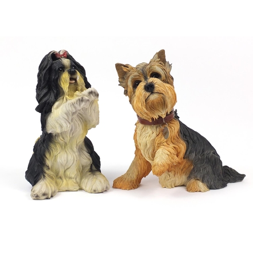 116 - Large Country Artists seated terrier dog and one other, the larger 33cm high