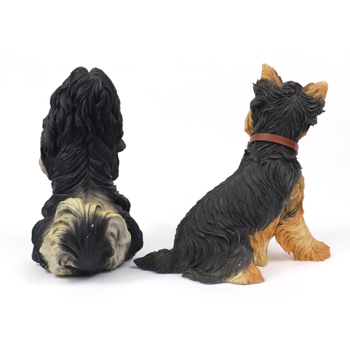 116 - Large Country Artists seated terrier dog and one other, the larger 33cm high