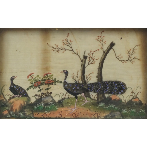 159 - Chinese pith painting of two pheasants in a landscape, framed, 31.5cm x 20cm