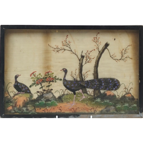 159 - Chinese pith painting of two pheasants in a landscape, framed, 31.5cm x 20cm