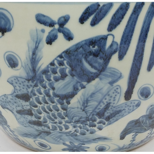 2064 - Large Chinese blue and white porcelain fish bowl hand painted with fish amongst aquatic life, 26cm h... 