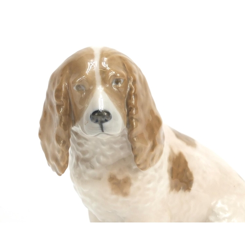 2222 - Royal Copenhagen Cocker spaniel, numbered 3116, 13cm high