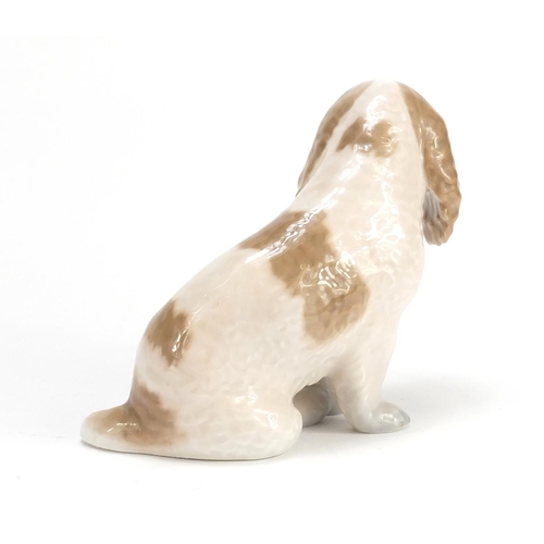 2222 - Royal Copenhagen Cocker spaniel, numbered 3116, 13cm high