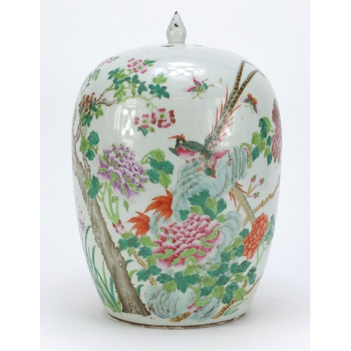 2159 - Chinese porcelain jar and cover hand painted with birds amongst flowers, 33cm high
