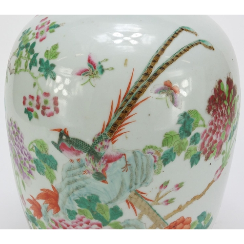 2159 - Chinese porcelain jar and cover hand painted with birds amongst flowers, 33cm high