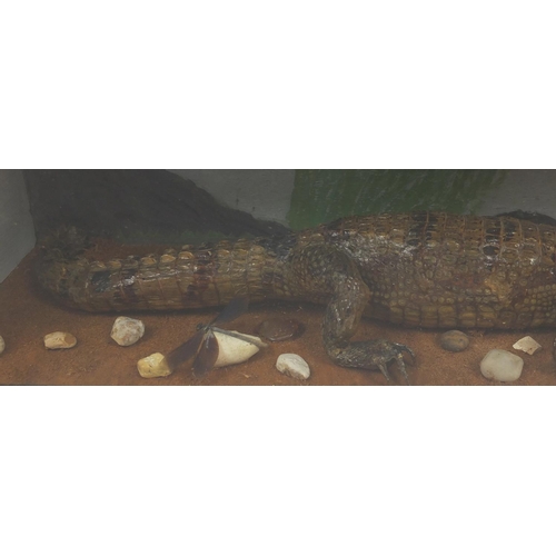 139 - Taxidermy glazed display of an alligator and dragonfly, 27cm H x 58.5cm W x 19.5cm D