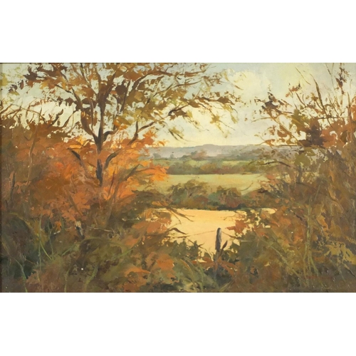 975 - Alberta Sewell - Landscape and river through woodland, pair of oil on boards, Royal Institute of Oil... 