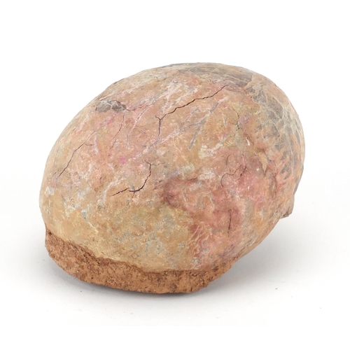 107 - Prehistoric fossilised dinosaur egg, 11cm H x 15cm W x 13cm D