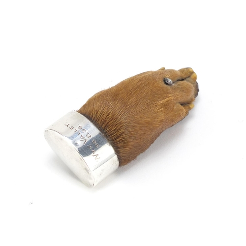 2488 - Taxidermy otter paw brooch with unmarked silver mount, engraved Wye Valley 26.8.36, 8cm in length