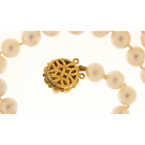 2617 - Single string pearl necklace with 9ct gold clasp, 70cm in length, 50.4g