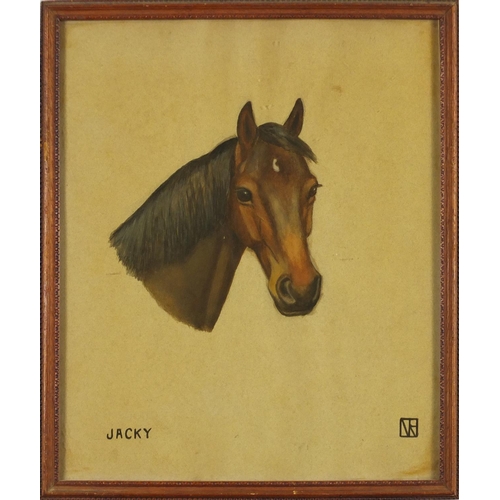 2234 - Two horse heads, Jackie and Senator, pair of watercolours, framed, each 35.5cm x 29.5cm